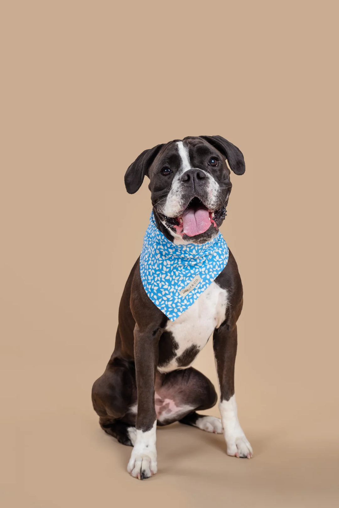 Seafoam bandana reversible - Molly And Co.