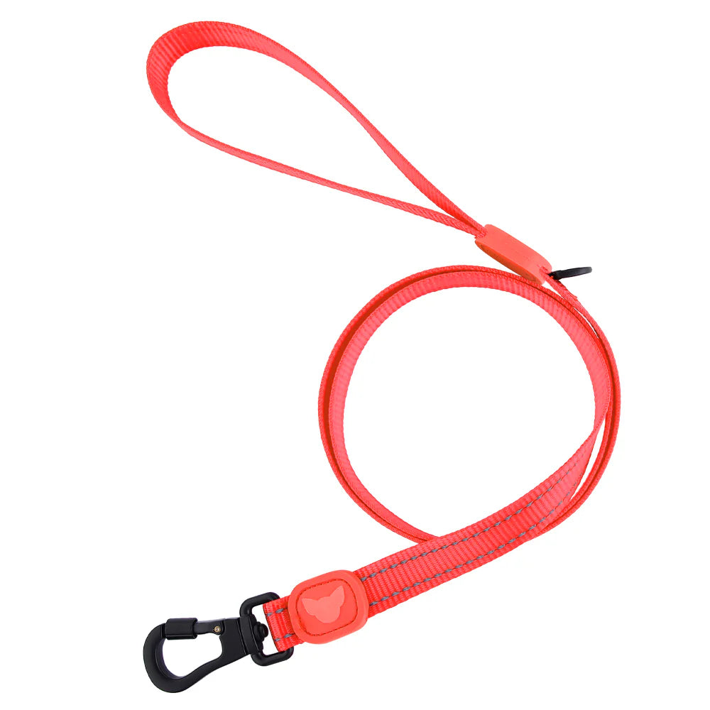 Toy Doggie Reflective Nylon Leash - Variedad de colores