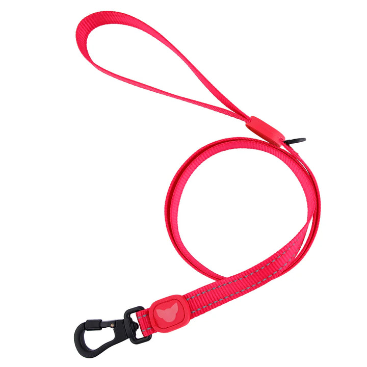 Toy Doggie Reflective Nylon Leash - Variedad de colores